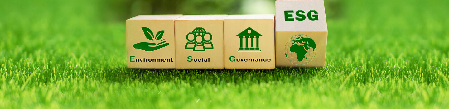 ESG Strategy